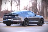 Ford Mustang 2.3 EB PREMIUM PERFORMANCE - Ford Mustang: Performance