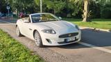 Jaguar XK 5.0 V8 Cabriolet - - Jaguar XK: Roadster