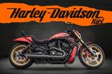 Harley-Davidson VRSCDX Night Rod Special - Airride- - gebrauchte Motorräder in Kiel