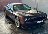 Dodge Challenger - gebrauchte Dodge Challenger aus dem Jahr 2020
