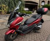 Honda Forza 350 Top gepflegt Nur 5.500 km - HONDA ROLLER 50