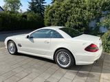 Mercedes-Benz SL 55 AMG AMG - Mercedes-Benz SL 55 AMG mit Benzin-Antrieb: Cabrio