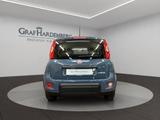 Fiat Panda 1.0 GSE Mild Hybrid City Life DAB Klima - gebrauchte Fiat Panda aus dem Jahr 2022