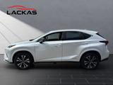 Lexus NX 350h Style Edition*1-HAND*UNFALLFREI* - Lexus aus 2021