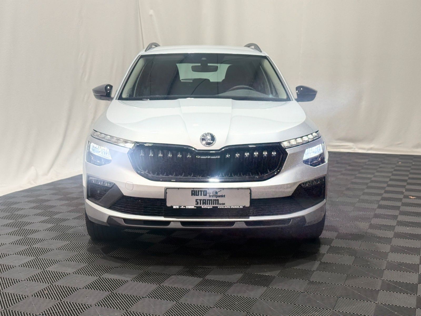 Fahrzeugabbildung SKODA Kamiq Selection / DSG / Kamera / 17 Zoll