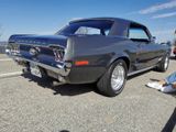 Ford Mustang 351W  - Ford Mustang aus 1968