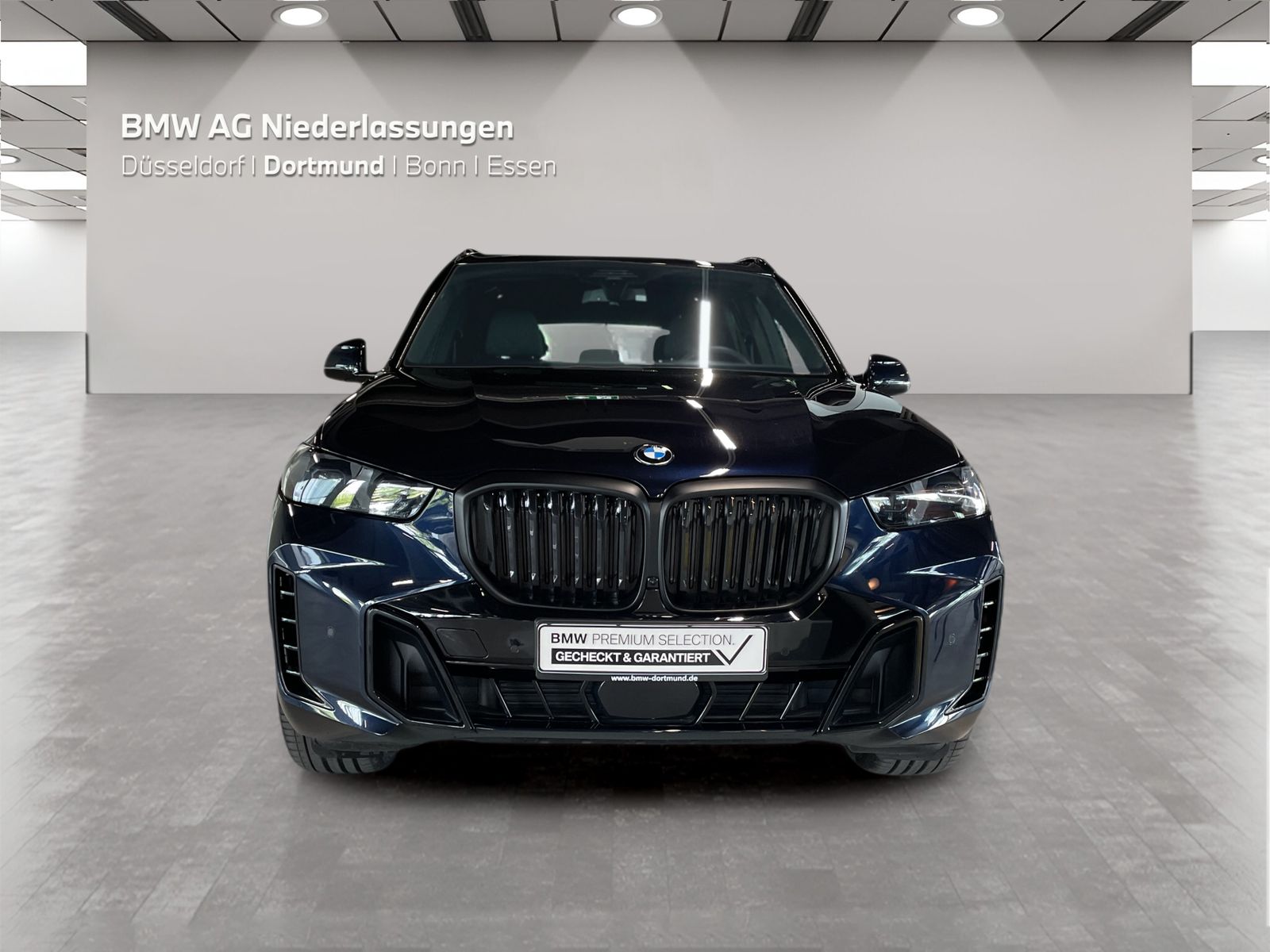 BMW X5 - Bild 8