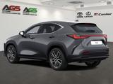 Lexus NX 450h+ E-Four Luxury + Panorama Mark Levinson - graue Lexus NX 450h