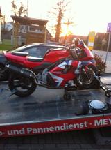 Triumph Daytona 955i - TRIUMPH 955 DAYTONA