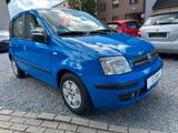 Fiat Panda 1.2 8V Dynamic - Fiat Panda Gebrauchtwagen in Aachen