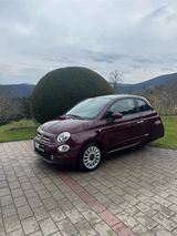 Fiat 500 Ellenator, fahren ab 16 Jahren - Fiat 500 aus 2021
