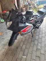 Suzuki GS500F - SUZUKI GS 500