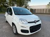 Fiat Panda 312 1.2L 69 PS 1.Hand 5 Sitzer ... - Fiat Panda: 3.1