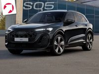 Audi SQ5 - Vorschau Bild 1
