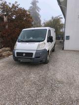 Fiat Ducato Transporter, Camper, Tüv neu!!! - Fiat: Transporter