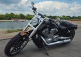 Harley-Davidson V-Rod Muscle Sondermodell Tüv & Inspektion NEU - Offers matching your search criteria