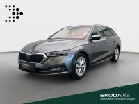 Skoda Octavia - Vorschau Bild 1