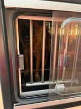 Ahorn Camp Alaska TD Automatik 170 PS 4T AHK 2T Klima  - Ahorn Alaska