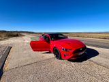 Ford Mustang 5.0 Ti-VCT V8 GT Auto GT - Ford Mustang in Frankfurt (Main)