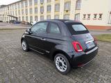 Fiat 500C 1.0 Hybrid - Fiat 500C von privat