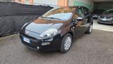 Fiat Punto 1.2 8V 5 porte Lounge unico proprieta - Fiat Punto: Lounge