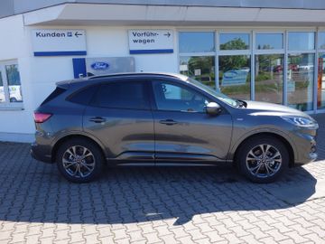 Bild 3 Ford Kuga 1.5 ST-Line(150PS),AHK schwenkbar