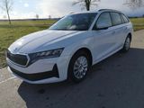 Skoda Octavia Combi Essence Kombi 1.5 TSI DSG AHK GV5 - Skoda Octavia Tageszulassungen mit Benzin-Antrieb