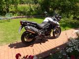 Triumph Tiger 800 XRX Low - Offers matching your search criteria
