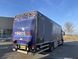 Mercedes-Benz ANTOS 1924 / Fridge / Carrier Vector 1950 / 300. - Offers
