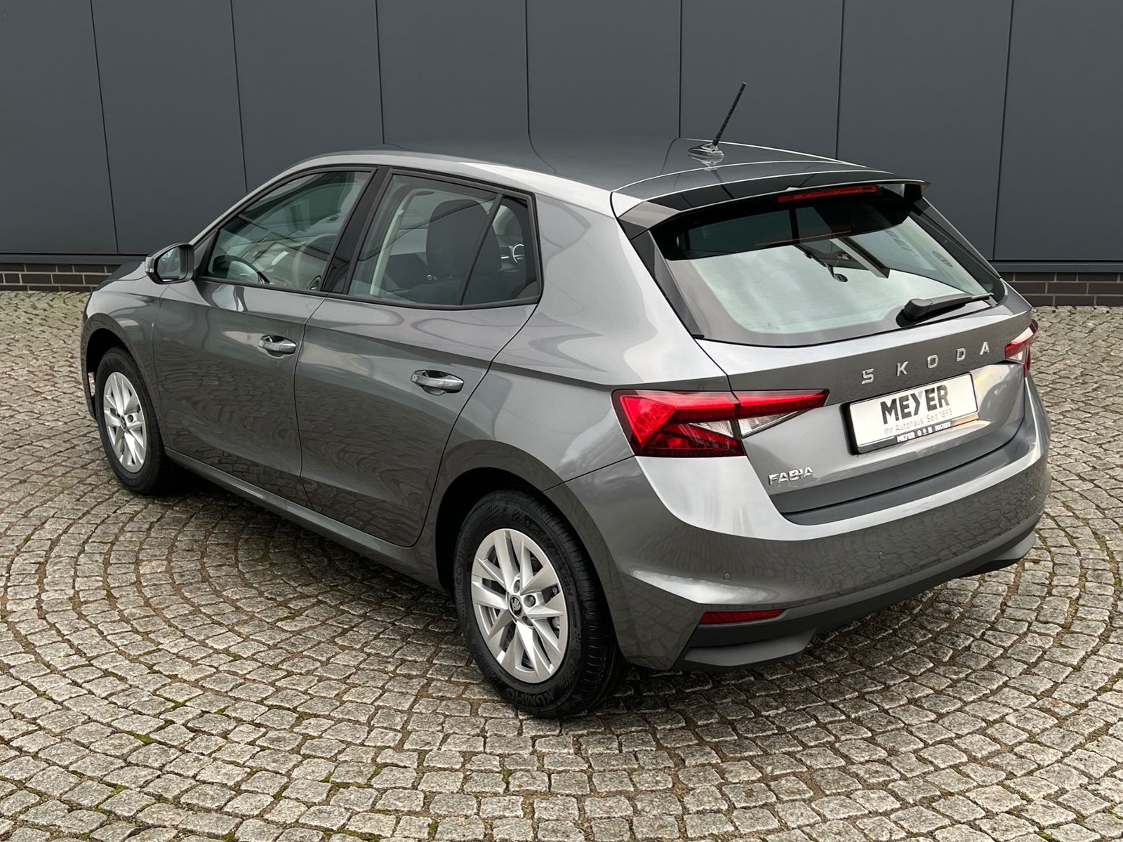 Fahrzeugabbildung SKODA Fabia Selection Edition 130 1.0 TSI DSG *Garanti