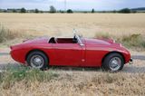 Austin Healey Andere Mark I Frogeye