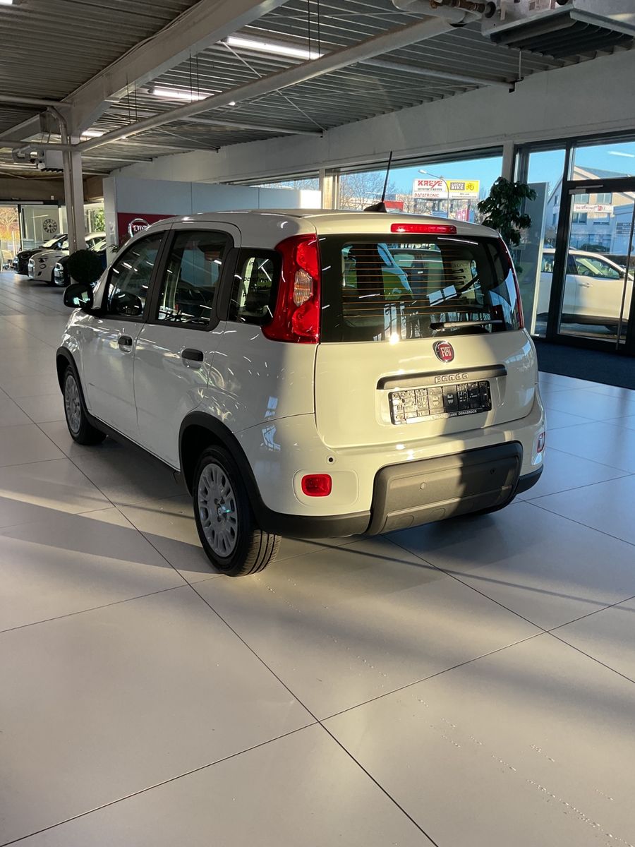 Fahrzeugabbildung Fiat Panda Hybrid 1.0 GSE