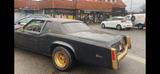 Andere Cadillac Eldorado - Andere aus 1975