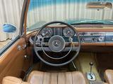 Mercedes-Benz SL-klasse Cabrio 250SL Pagode "Notsitz" automati - Mercedes-Benz Oldtimer: Sl