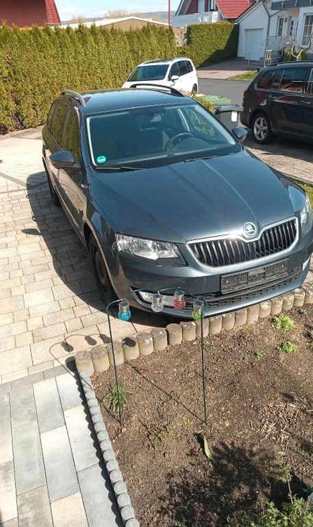 Image of Skoda Octavia