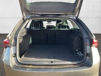 Skoda Octavia - Vorschau Bild 19