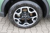 Ford Kuga Active X 2.5 PHEV 360° Kamera PANO - Ford: Grün