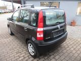 Fiat Panda 1.1 8V Active,Klima,EFH. - Fiat Panda aus 2005
