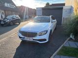 Mercedes-Benz E 300 e AVANTGARDE Autom. Top Zustand  - Mercedes-Benz E 300 in Bielefeld