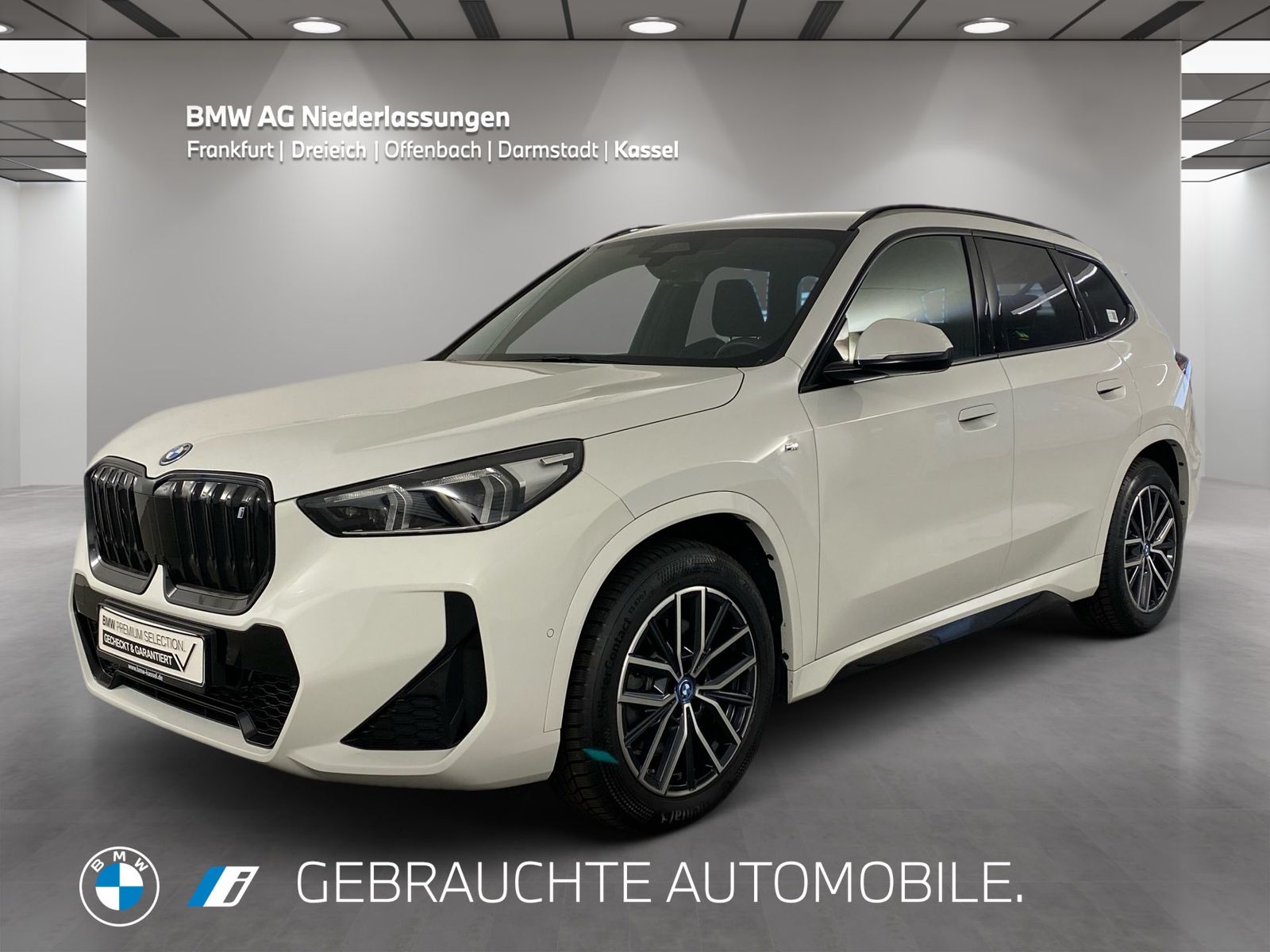 BMW iX1 xDrive30 M Sport Kamera Driv.Assist LED foto 1