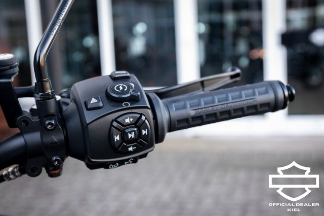Fahrzeugabbildung Harley-Davidson PAN AMERICA  RA1250 - Stark tiefergelegt!