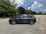Audi SQ5 3.0 TDI comp. tiptr. quattro - - Audi SQ5 in Kiel