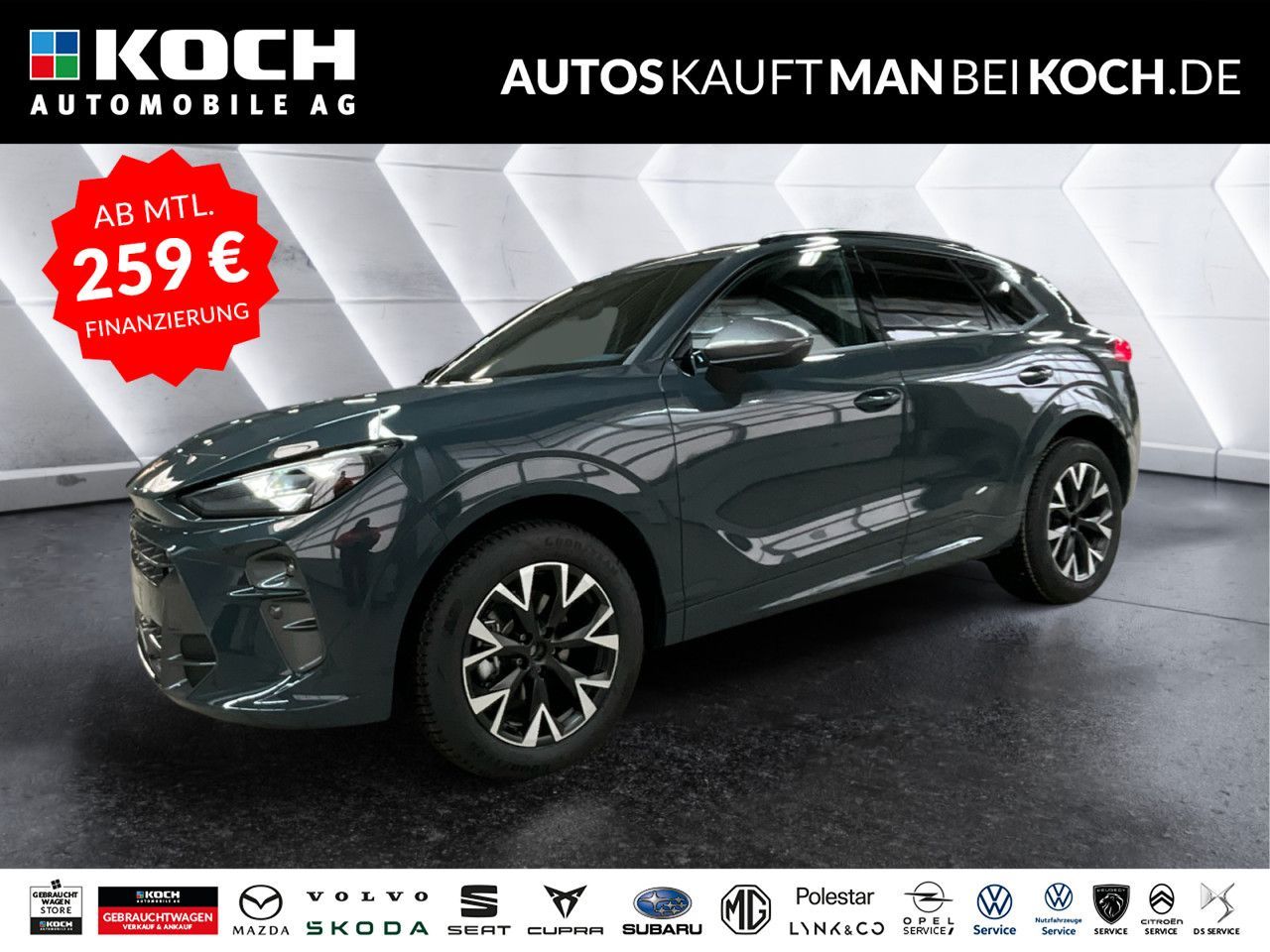 Cupra Terramar - Bild 1