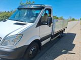 Mercedes-Benz  515CDI - Mercedes-Benz: 515 Cdi
