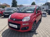 Fiat Panda 1.2 Lounge PDC*Radio*Klima - Fiat Panda aus 2019