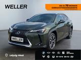 Lexus UX 250h Executive Line *Bi-LED*el Sitze*Leder*HU - Lexus Gebrauchtwagen in Leipzig