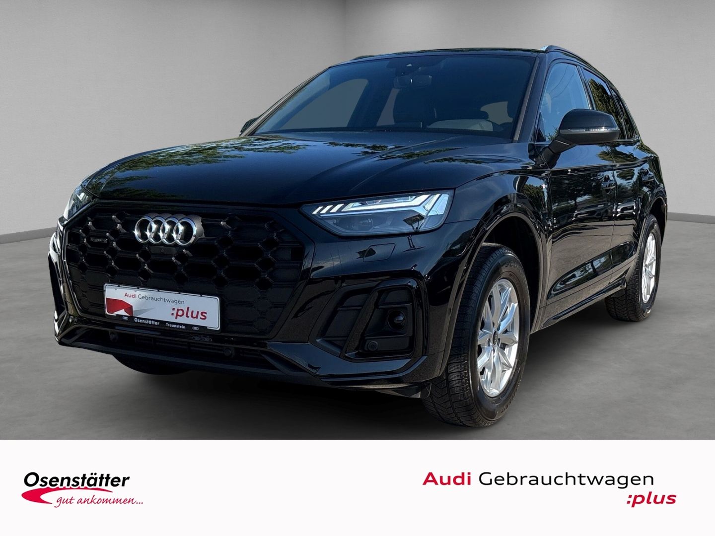 Audi Q5 45 TFSI S-Line qu Matrix AHK Leder Kamera