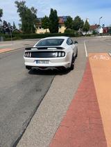 Ford Mustang 5.0 Ti-VCT V8 Black Shadow Edition A... - Ford Mustang: Edition