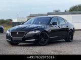 Jaguar XF Pure 2.0D Limo Leder Navi Xenon AHK Aut. - Jaguar: Limo
