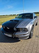 Ford Mustang - gebrauchte Ford Mustang aus dem Jahr 2006